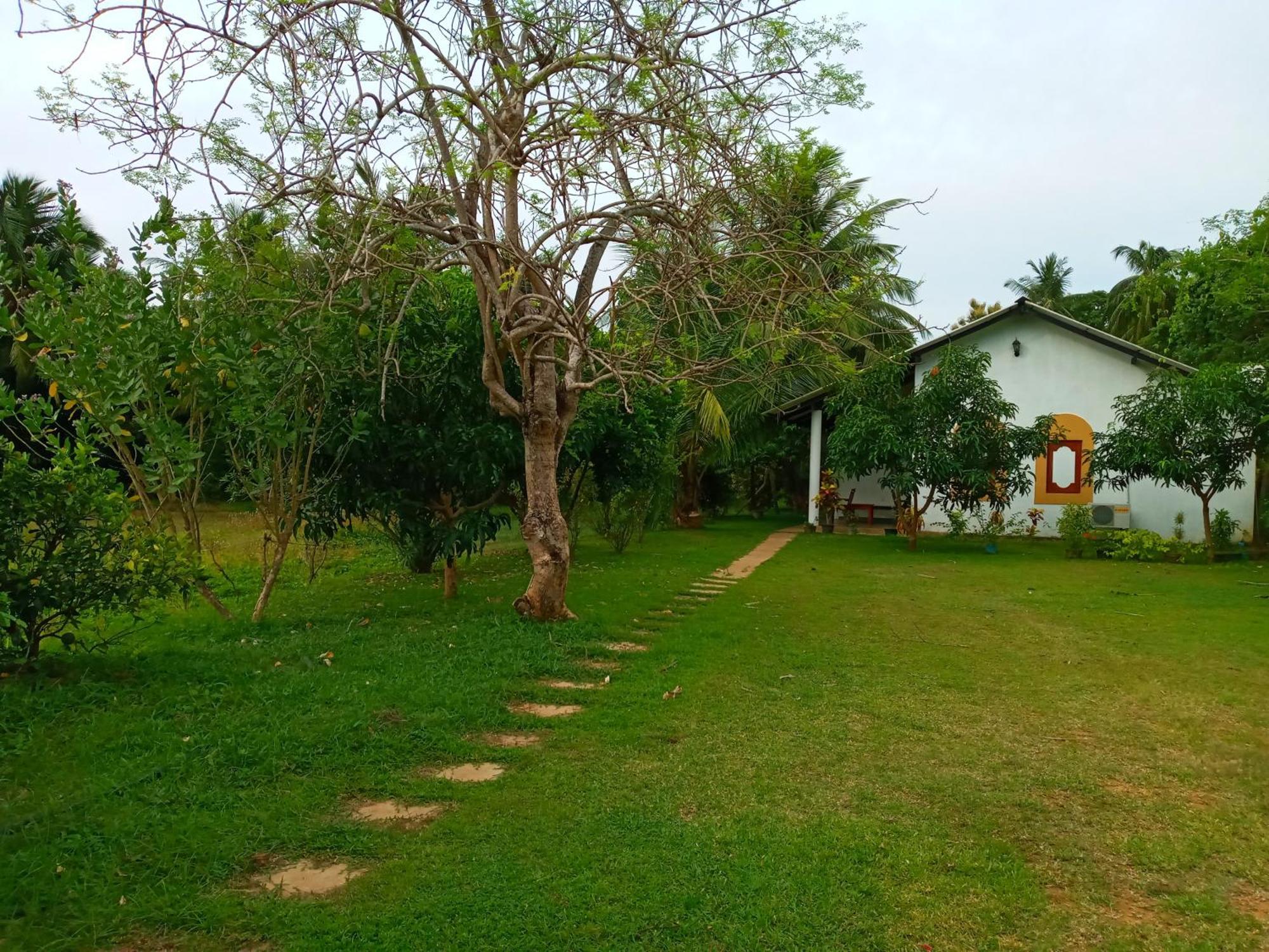 Hideaway Homestay Habarana Exterior photo